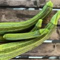 Zucchini, squash eller courgette?!