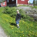 Skolmat