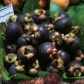 Frukternas drottning