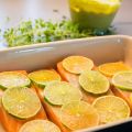 Lime- och saffranslax. Fredagsmiddag med[...]