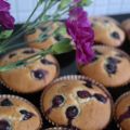 Blåbärsmuffins