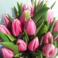 Blommor & strandpromenad