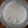 Kefir gryn