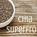 Chia - superfröet