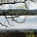 Blir det en fin sommar?