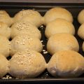 Havrebullar