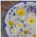 Blommor på fat