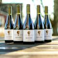 Quintay Syrah 2011. Mage i vägen..