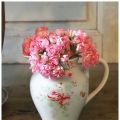 Princess Filippa och andra pelargonprinsessor