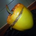 Köttfärsfylld paprika