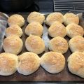 Havrebullar