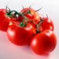 Ketchup