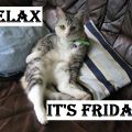 Vad skönt att det är fredag!