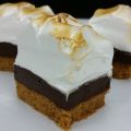 CHOCOLATE FUDGE S`MORES BITES