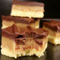 CHOCOLATE SALTED CARAMEL SHORTBREAD BAR