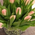 Fredagskänslor och fina blommor