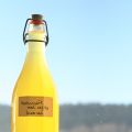 Apelsinsaft med nejlikor