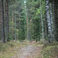 Fototriss - Vägar