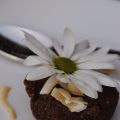 Nyttig chokladmuffins/chokladkaka