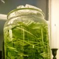 Fermenterad ramslök