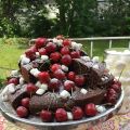 Elsas Kalasmat - Chokladkaka med stulna[...]
