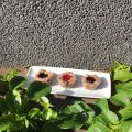Drottninggrottor No Bake