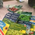 Vinterplantering