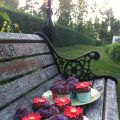 Glutenfria Cupcakes med Alpnearings[...]