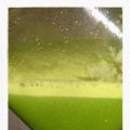 Grönt är skönt i juicefabriken