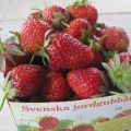 Bästa frukosten!
