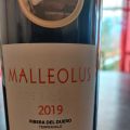 Veckans vintips: Emilio Moro Malleolus 2019