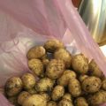 Färsk färskpotatis!!