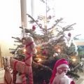 Jul / Noël / Christmas