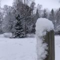 Äntligen snö!!!