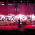 Julkonsert och Saffranslax