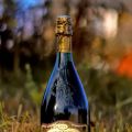 Bernard Hatté Champagne Special Club 2004.[...]
