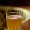 Sloe Gin Fizz