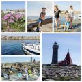 Lax och grönsaker i foliepaket på grillen och[...]
