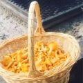 (Zucchini)Pasta med kantareller,[...]