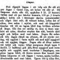 Surdegslimpa från 1800-talet
