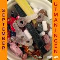 September utmaningen: bort med skräpet!