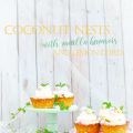 Coconut Nests with Vanilla Bavarois and Lemon[...]