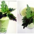 Nässel sting smoothie