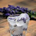 Vackra blommiga isbitar till sommarens drycker!