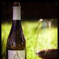 Artisan Halbturn red 2008. Paarty!