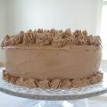 Brownie Cheesecake Cake