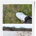 En morgonpromenad