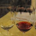 Vinprovning på Vinkällare Grappe/ Une[...]