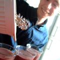 Antons Nalle Puh-drink! (utan honing)