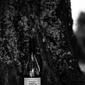 Montirius Vacqueyras Garrigues 2012..